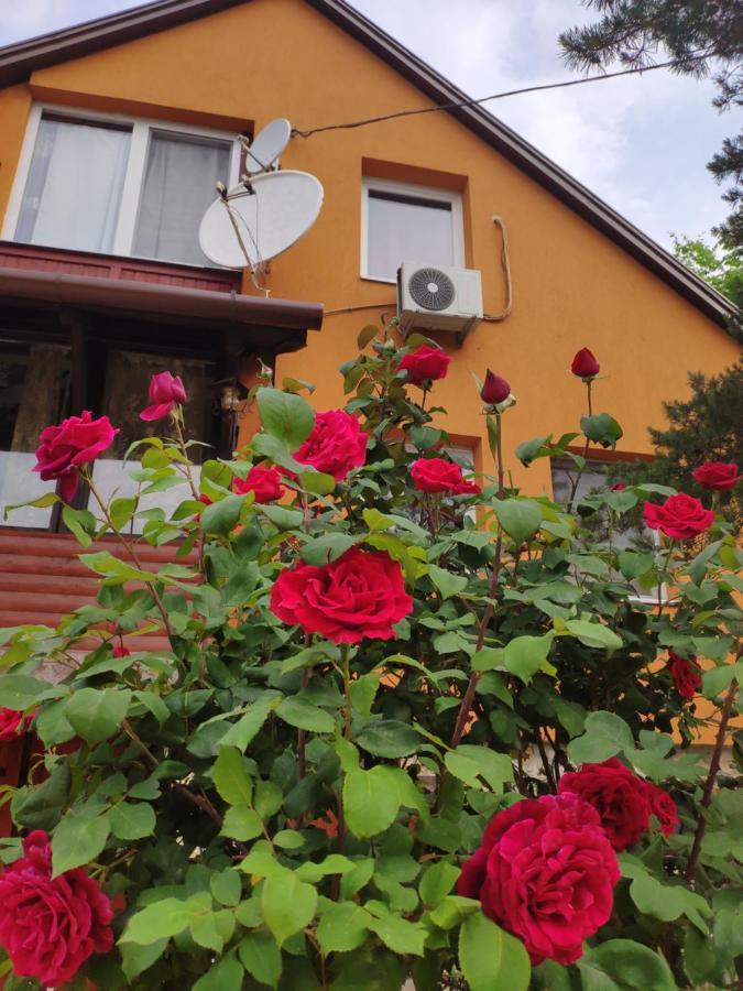 Karolina Apartment Bekescsaba Exterior foto